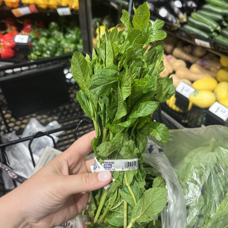  Selecting a mint bundle at grocery store photo